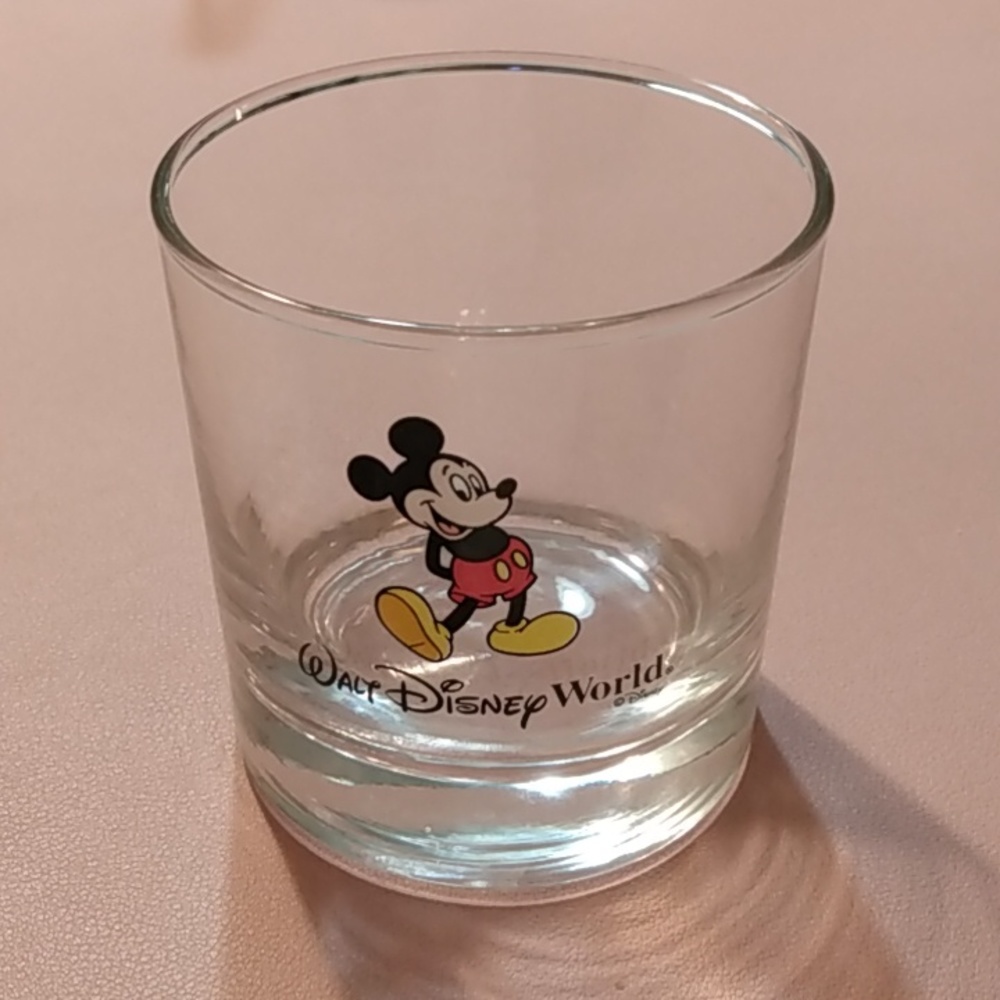 Walt Disney World glass